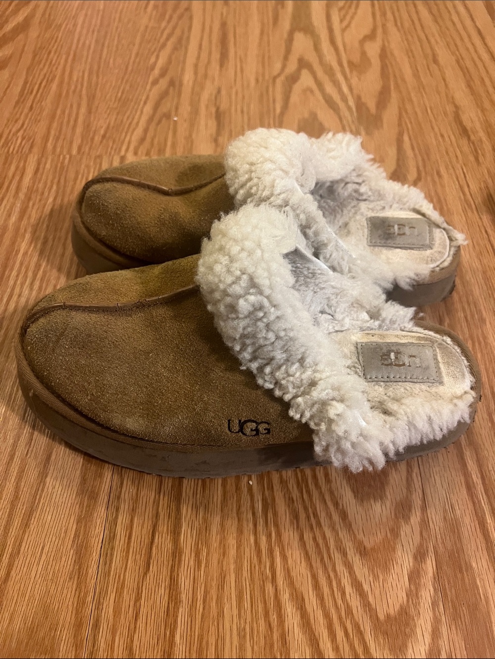 UGG Kids Slip-On Sheepskin Clog in Chestnut with Cream Lining